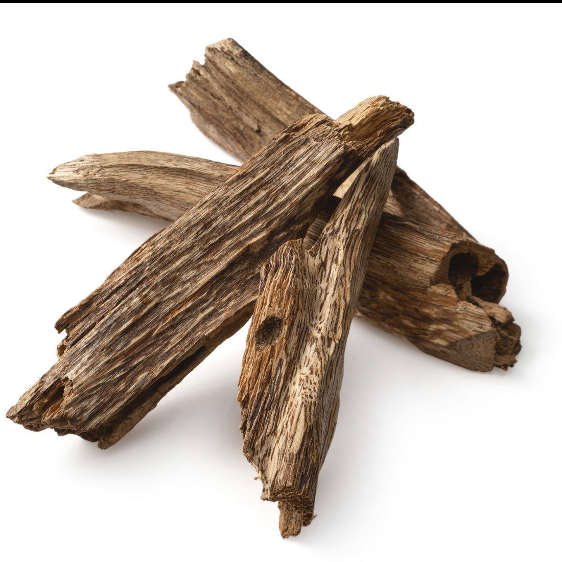 Oud – Srce svakog pravog arapskog parfema