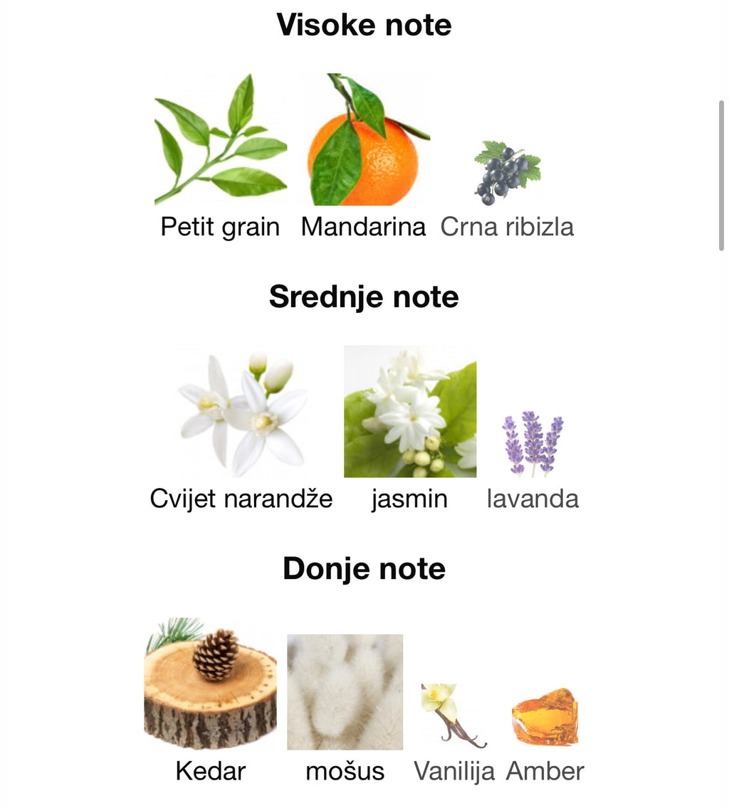 Exotic by Ahmed Al Maghribi - Zahra Dubai Parfemi