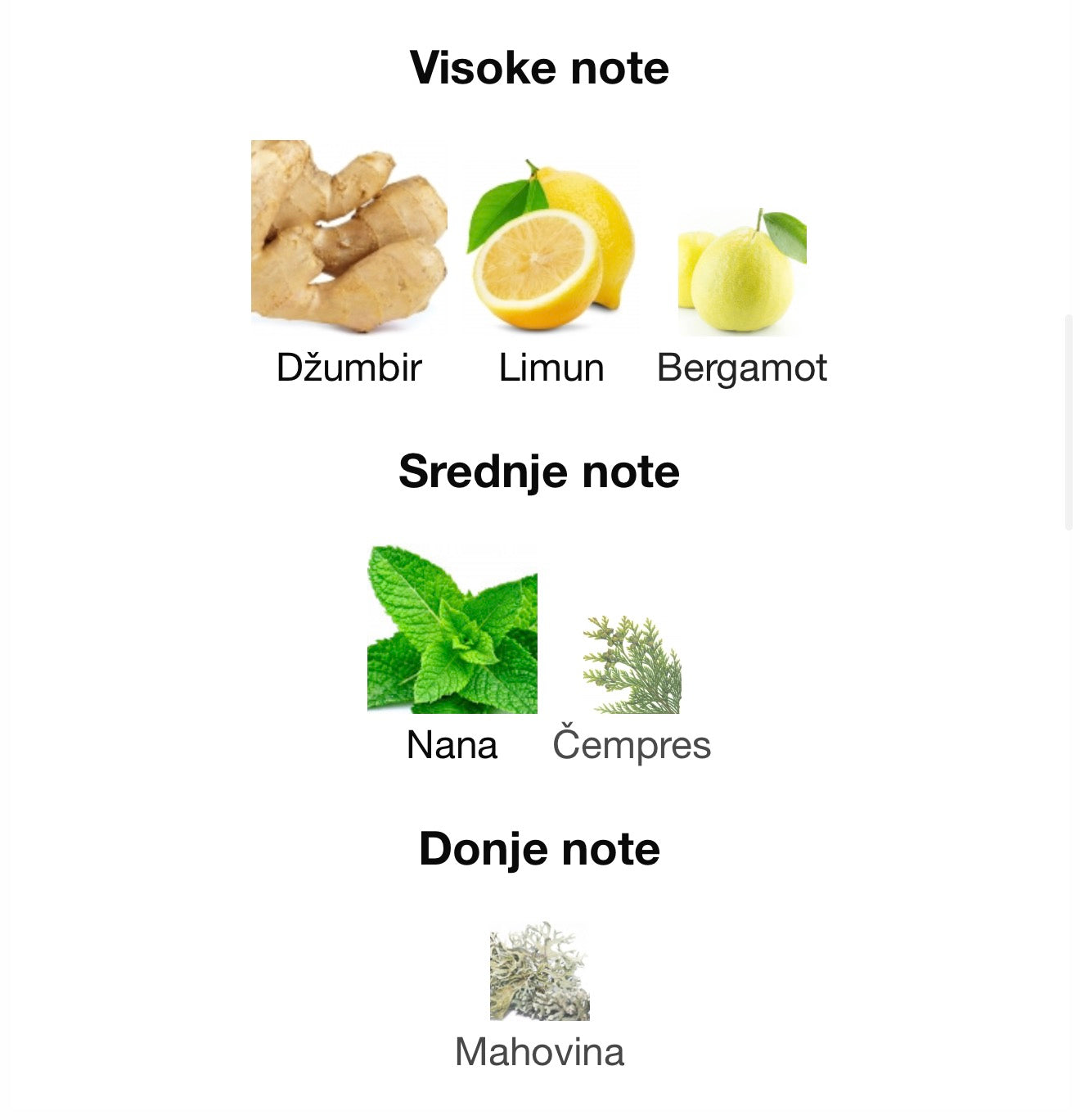 Mawj Moscow Mule by Paris Corner - Zahra Dubai Parfemi