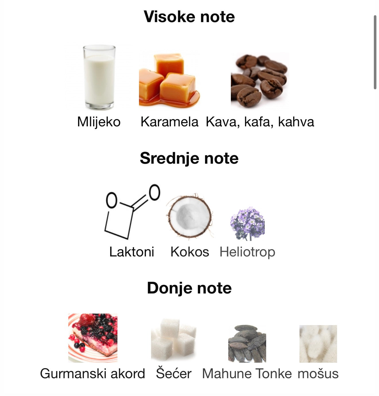 Eternal Coffee by Paris Corner - Zahra Dubai Parfemi