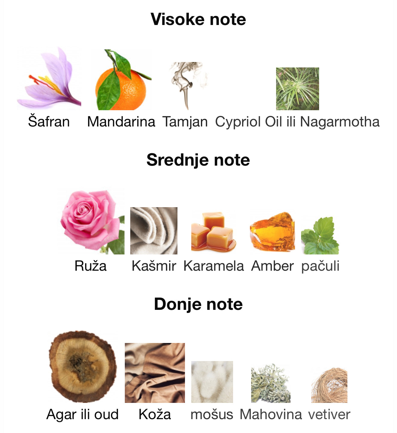 Summer Oud Ahmed Al Maghribi