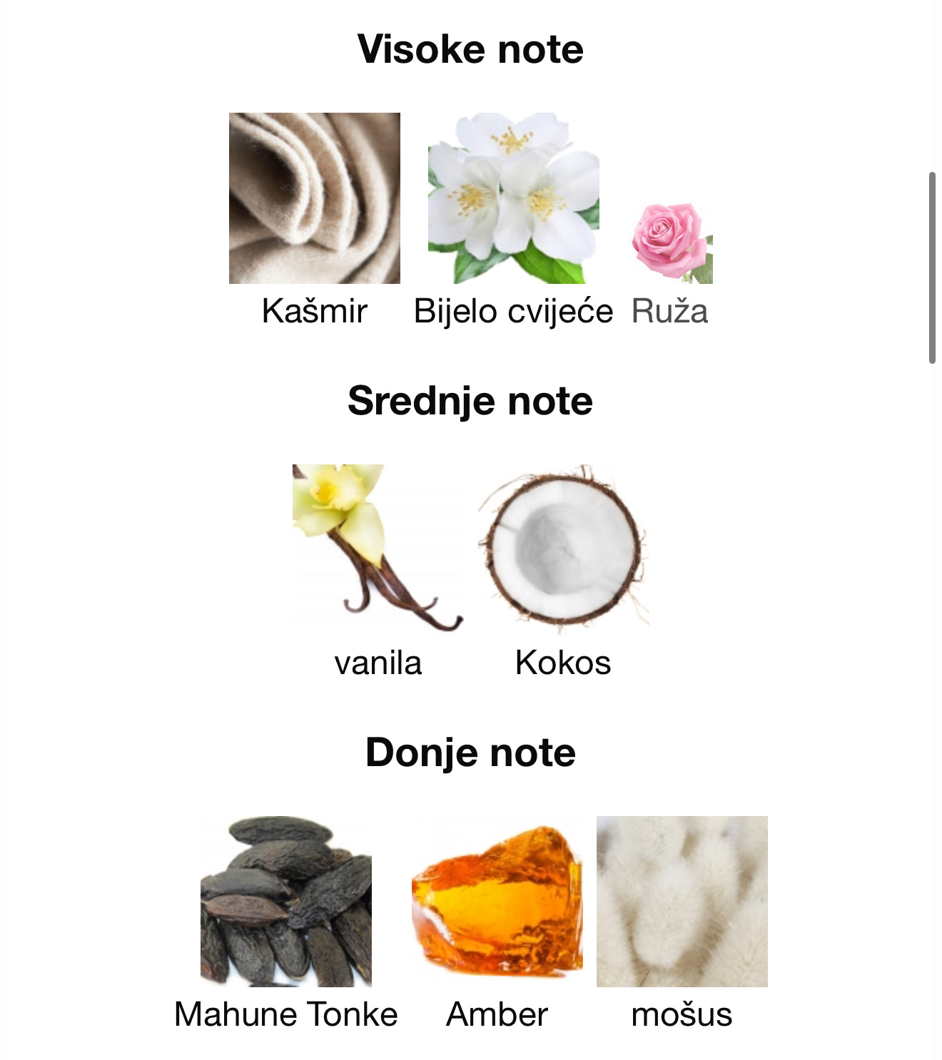 Fleurie Violette by Riiffs - Zahra Dubai Parfemi