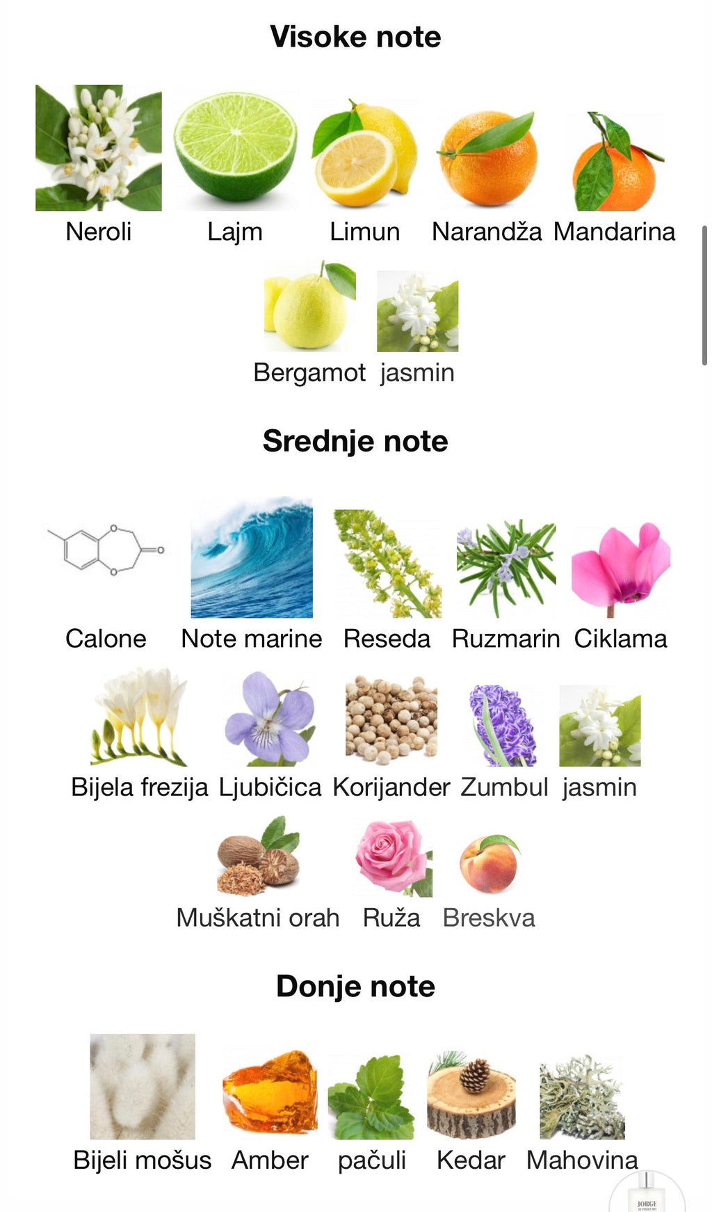 Jorge Di Aqua by Maison Alhambra - Zahra Dubai Parfemi