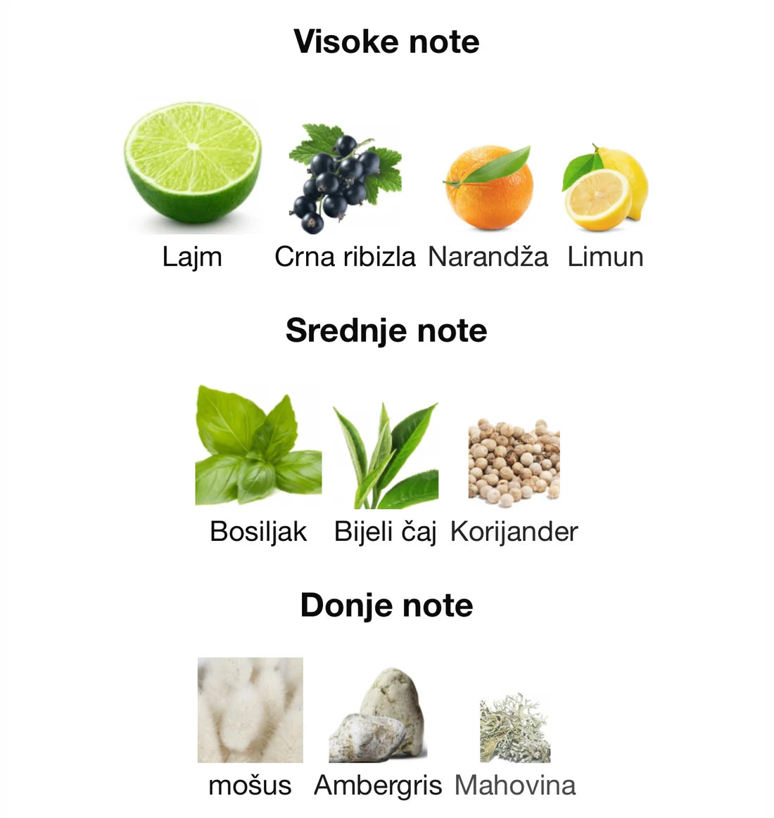 Vision Maison Asrar 100ml EDP - Zahra Dubai Parfemi