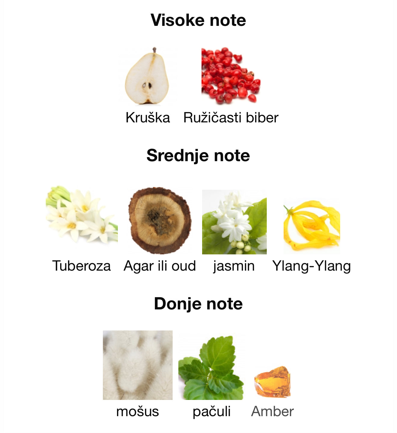 Pearl Oud by Ahmed Al Maghribi