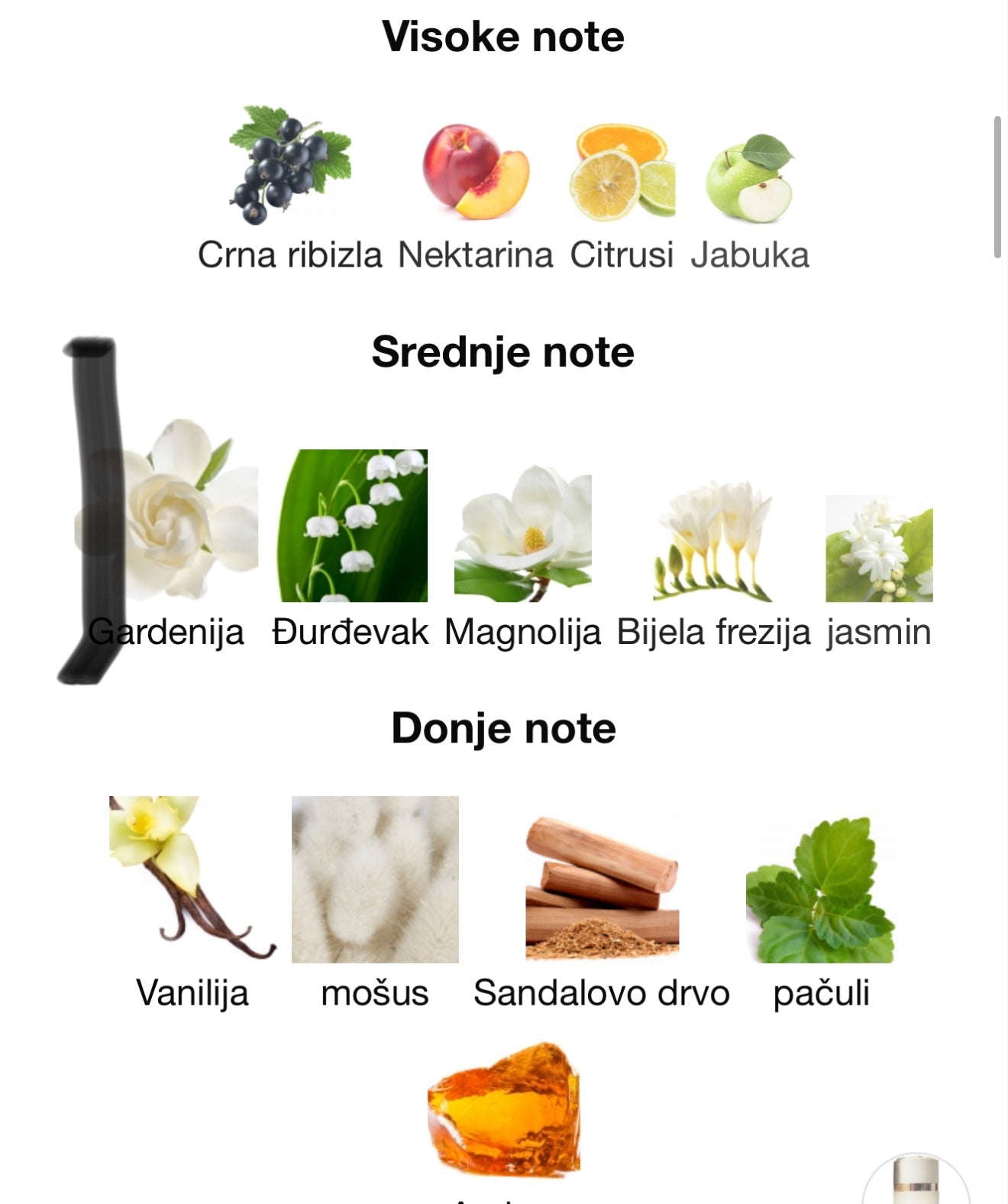 Moonlit by Ahmed Al Maghribi