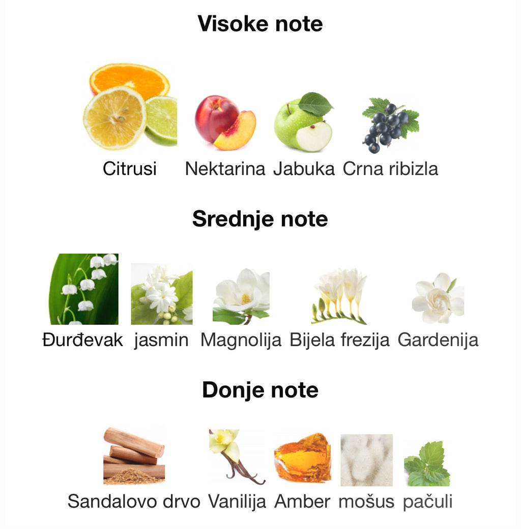 Cinder by Ahmed Al Maghribi - Zahra Dubai Parfemi