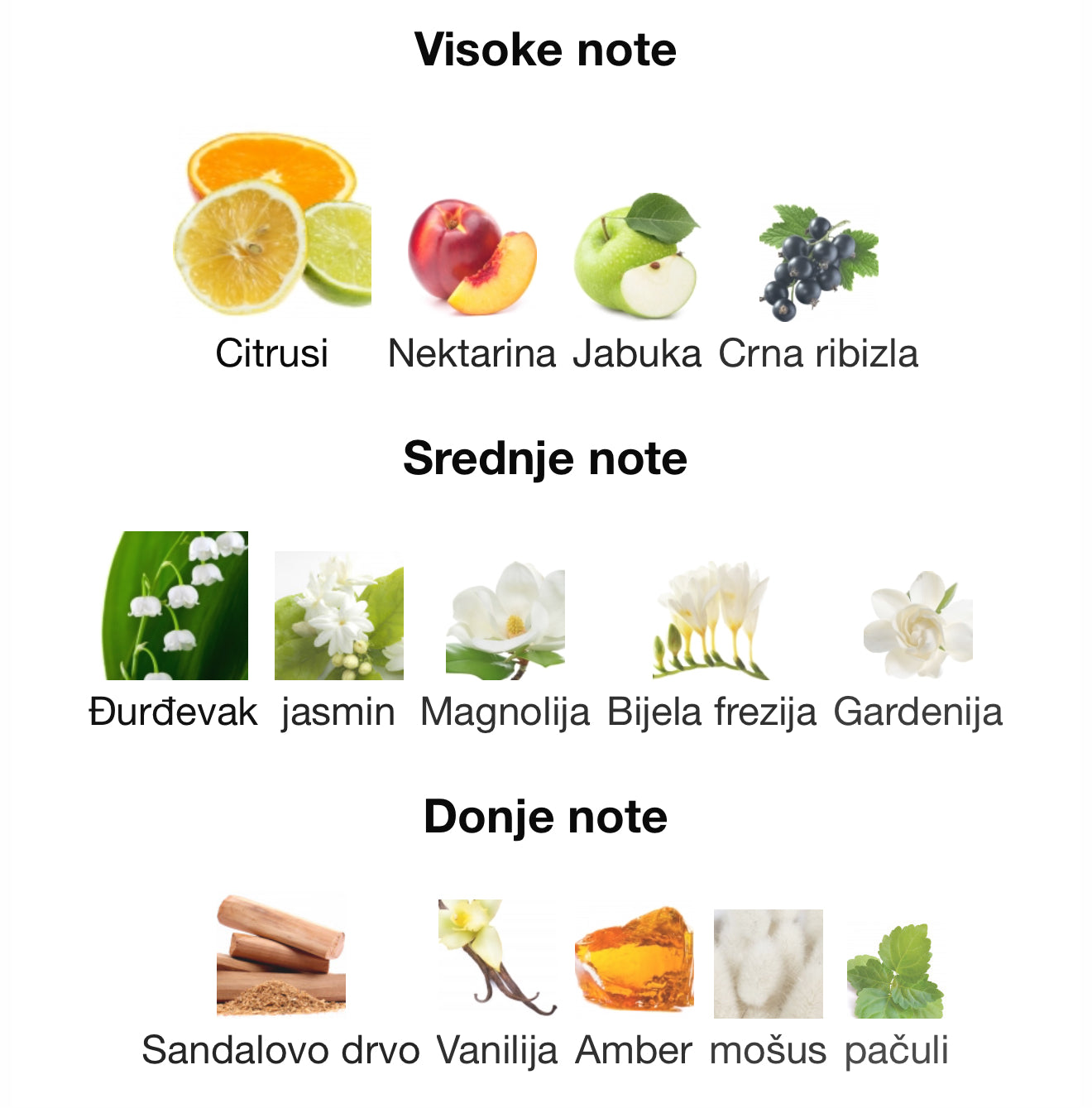 Cinder by Ahmed Al Maghribi