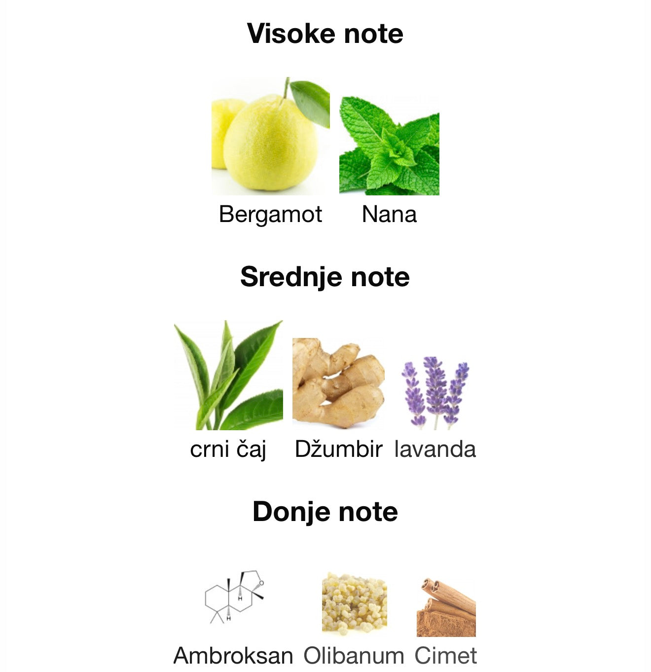 Art Of Arabia l by Lattafa Pride