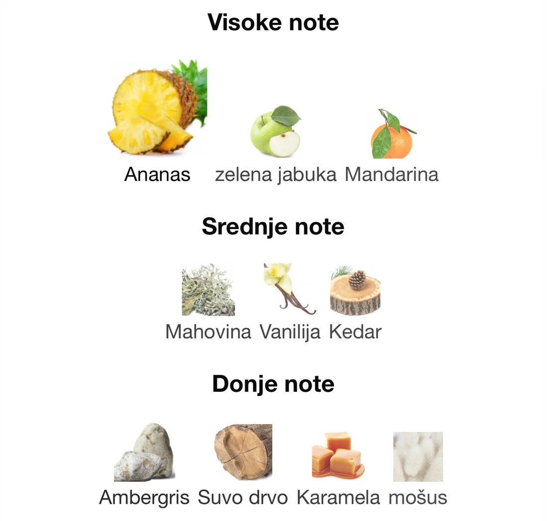 9PM Rebbel by AFNAN 100ml EDP