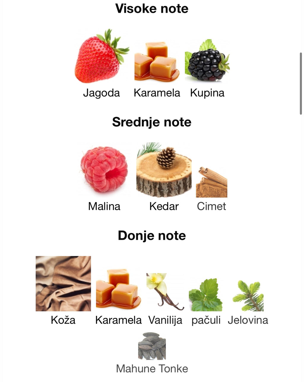 VENENO Scarlet by French Avenue - Zahra Dubai Parfemi