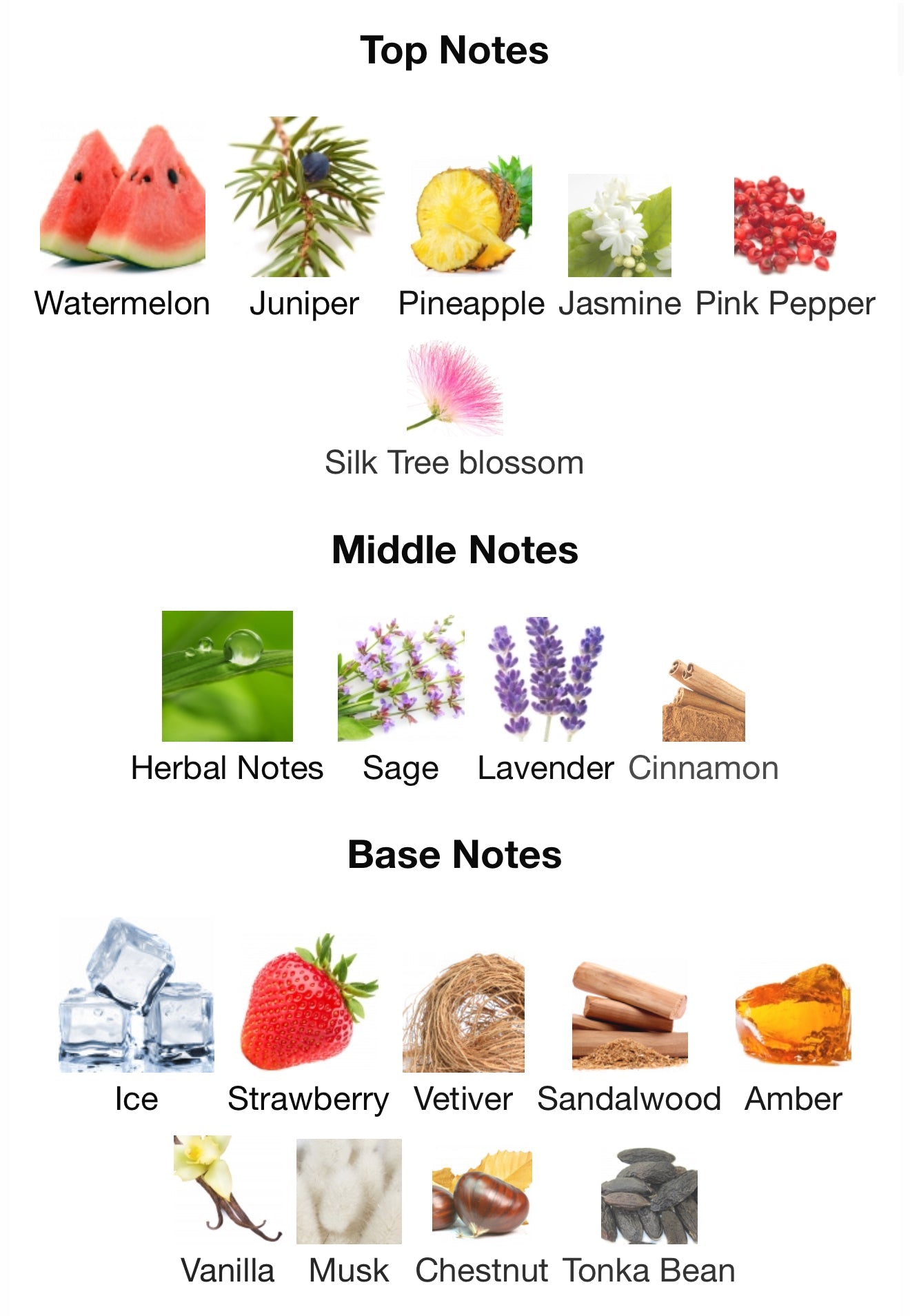 Ra'ed Luxe by Lattafa