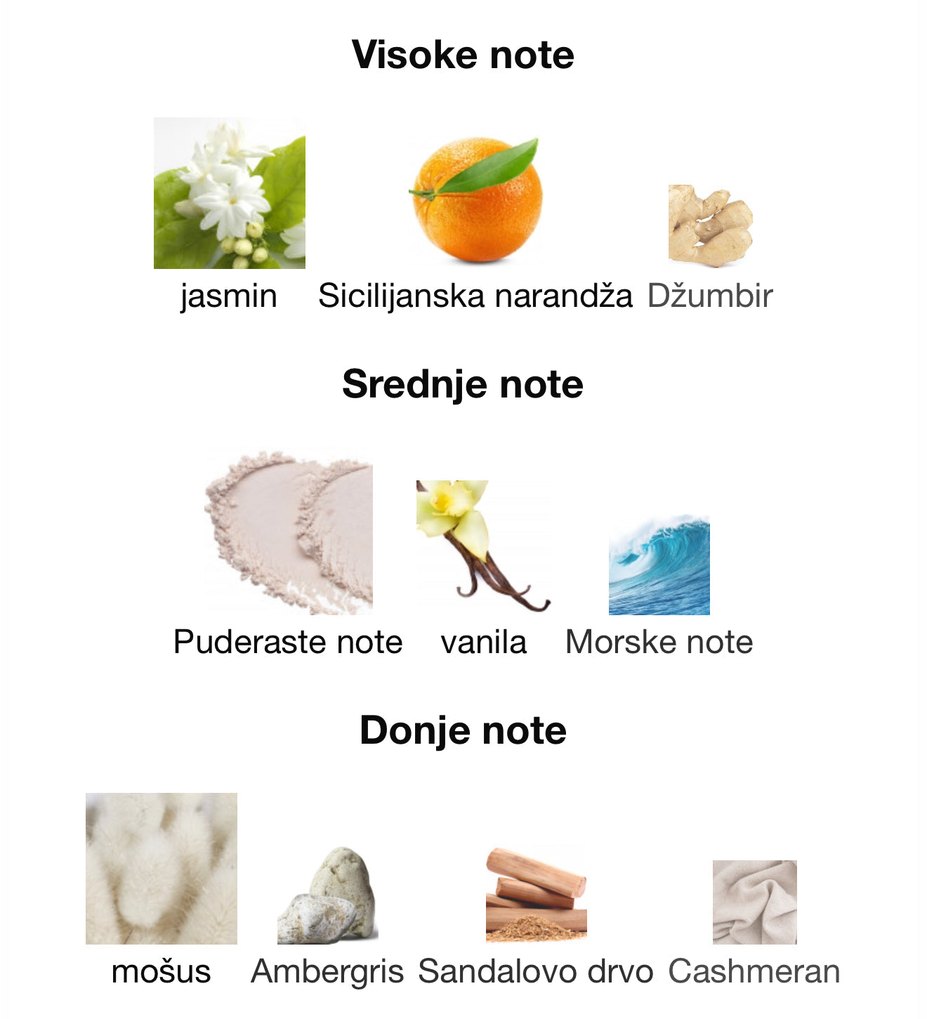 Rose Noir by Ahmed Al Maghribi