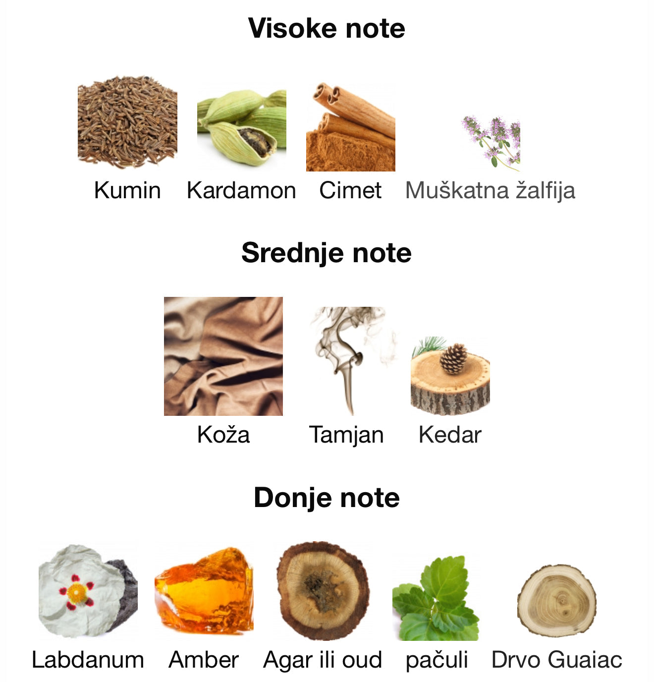 Sultan The Conqueror by French Avenue