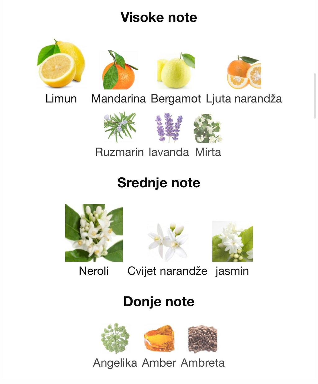 Pacific Blue by Maison Alhambra - Zahra Dubai Parfemi