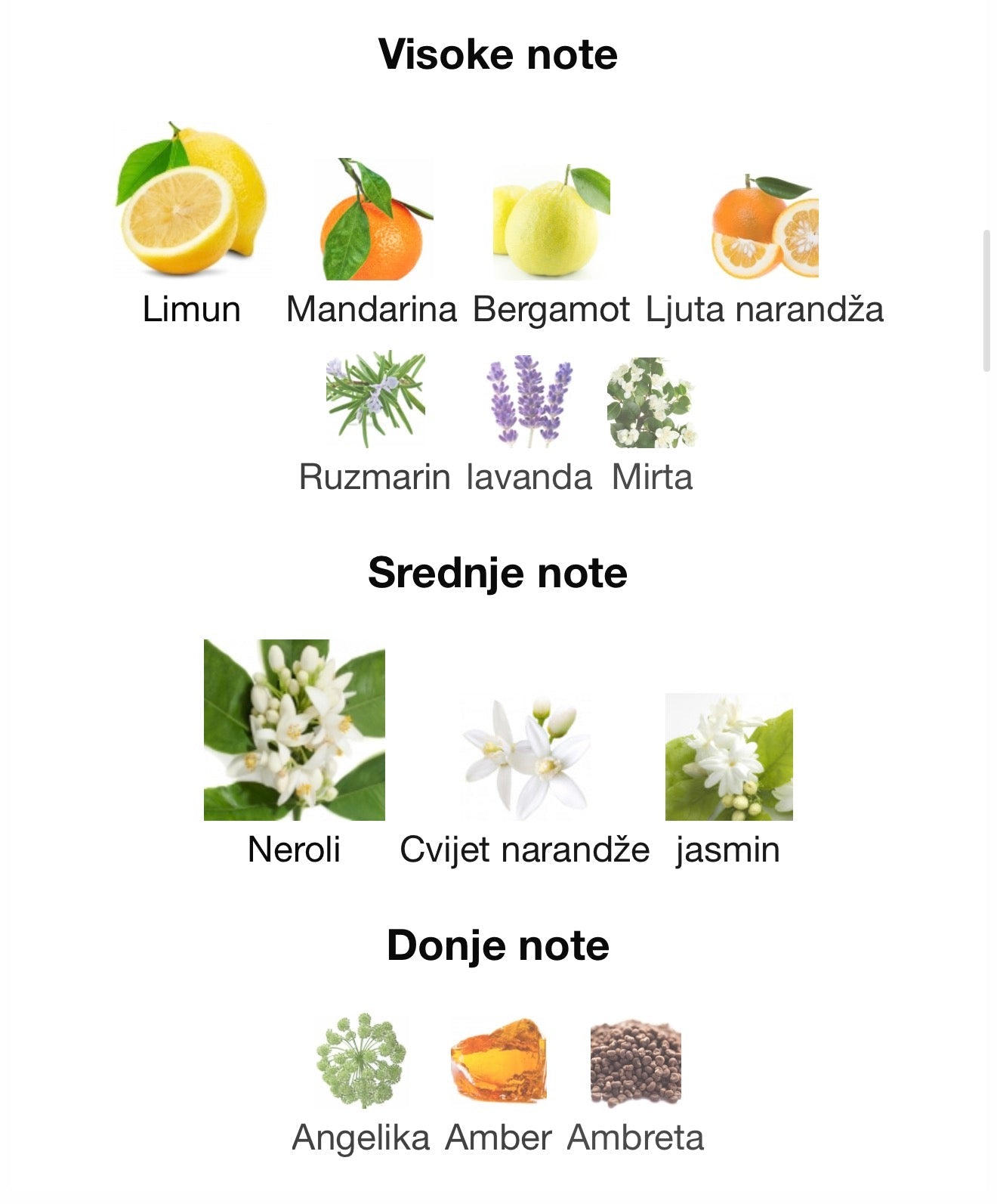 Pacific Blue by Maison Alhambra