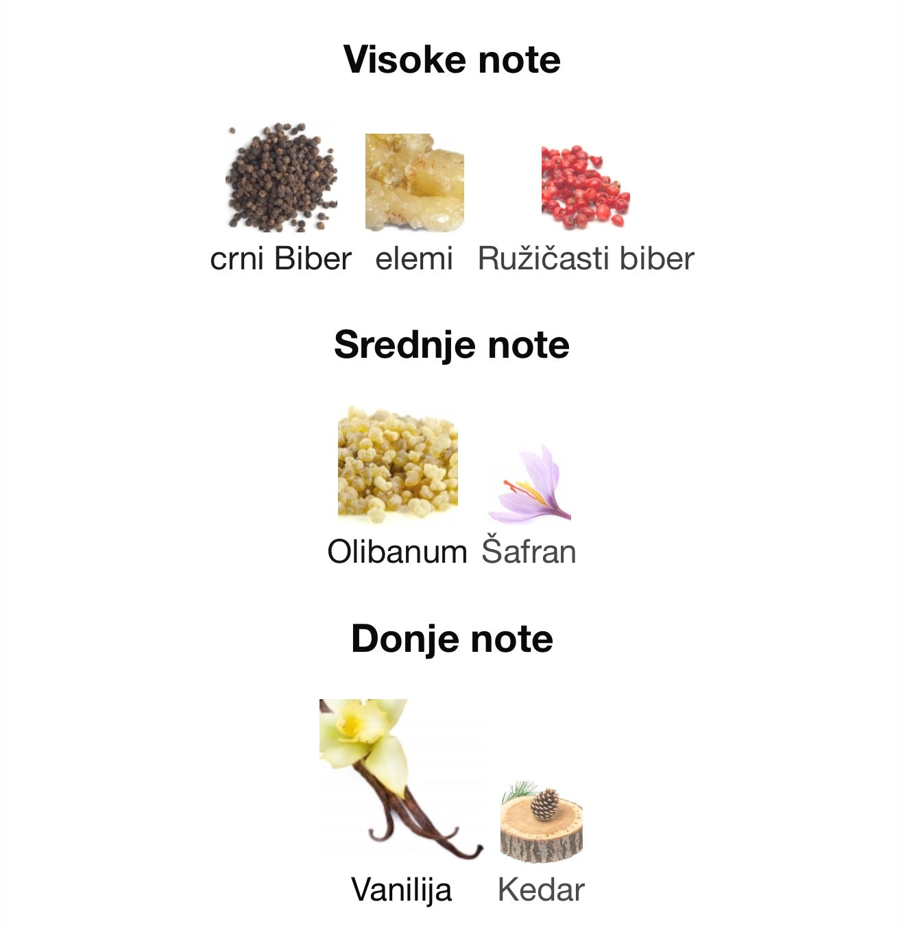 Rifaaqat by Paris Corner - Zahra Dubai Parfemi