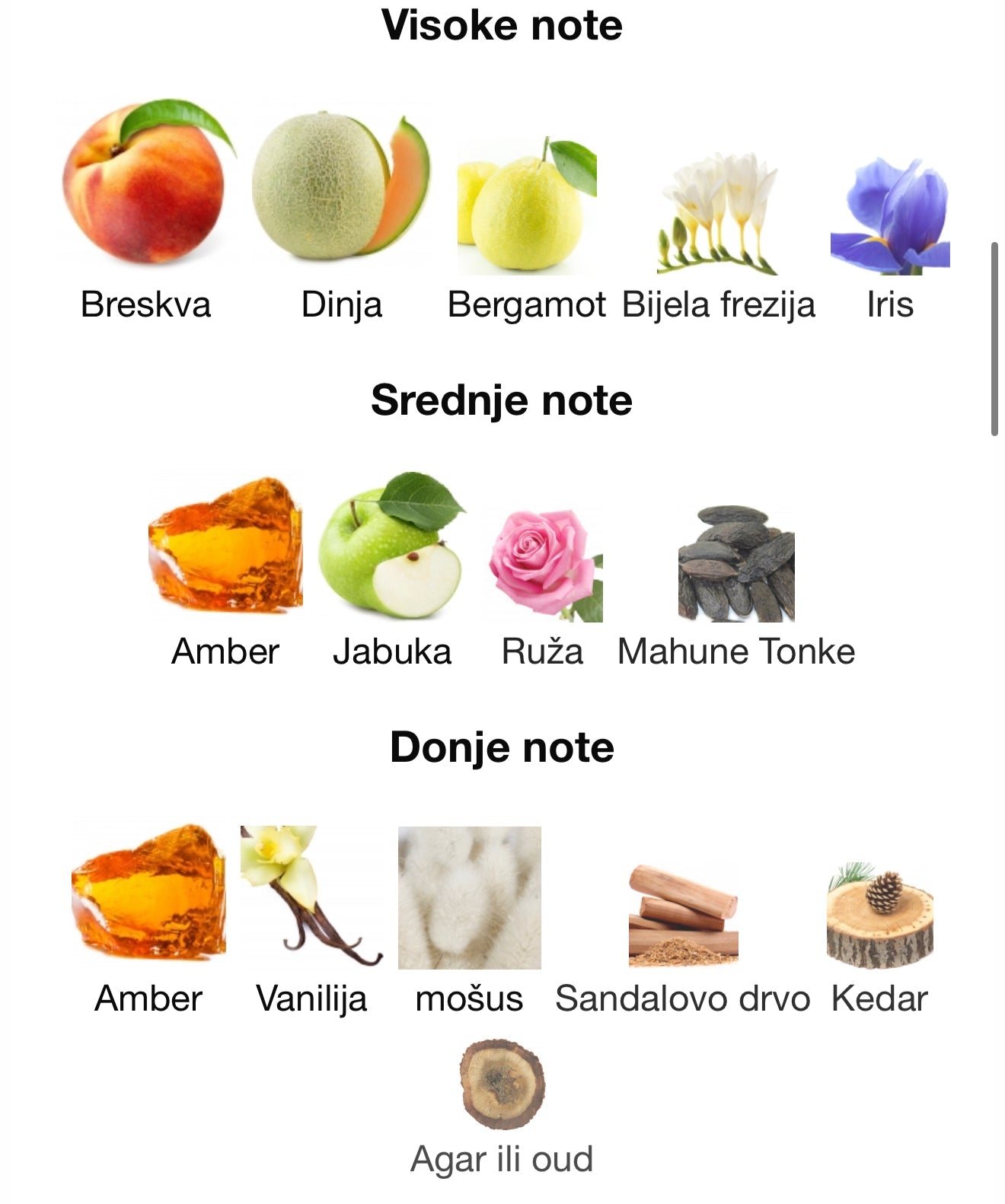 Shaghaf Oud Ahmar by Swiss Arabian - Zahra Dubai Parfemi