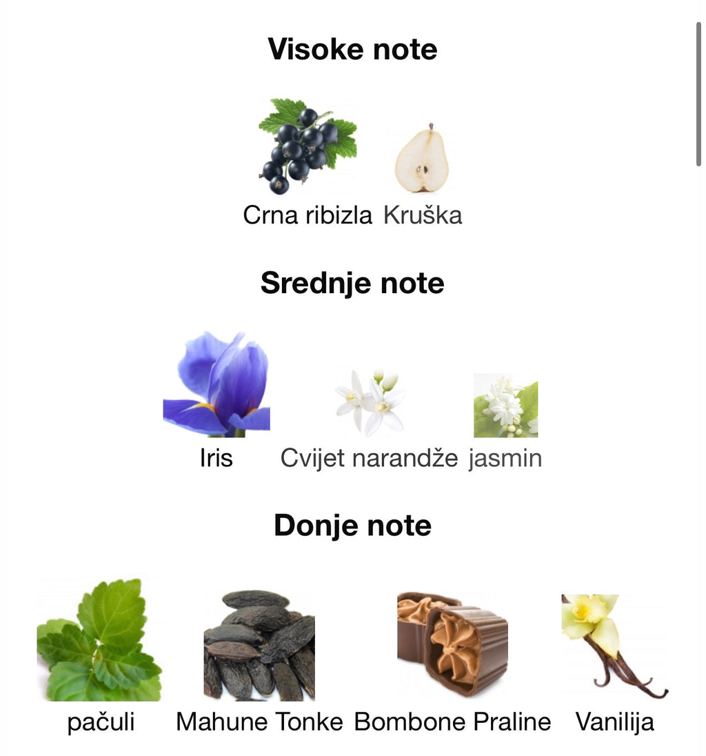 La Vivacité by Maison Alhambra - Zahra Dubai Parfemi