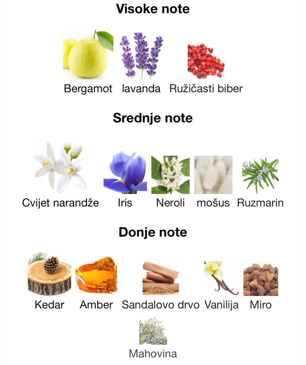 Aromatix Magnetiq by French Avenue - Zahra Dubai Parfemi