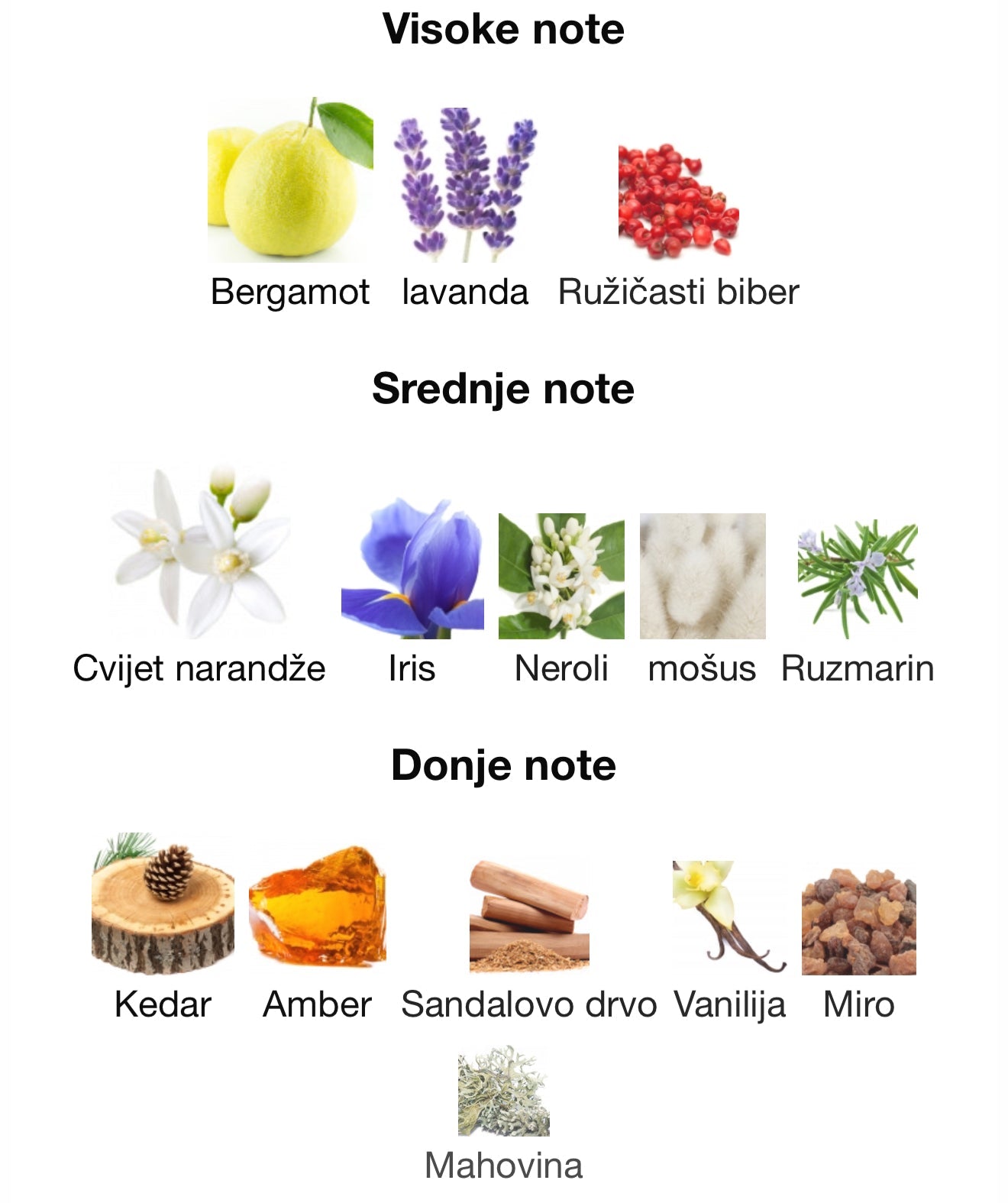 Aromatix Magnetiq by French Avenue