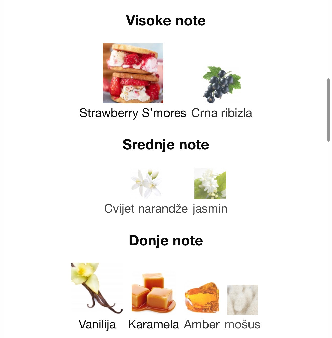 Yara Elixir by Lattafa