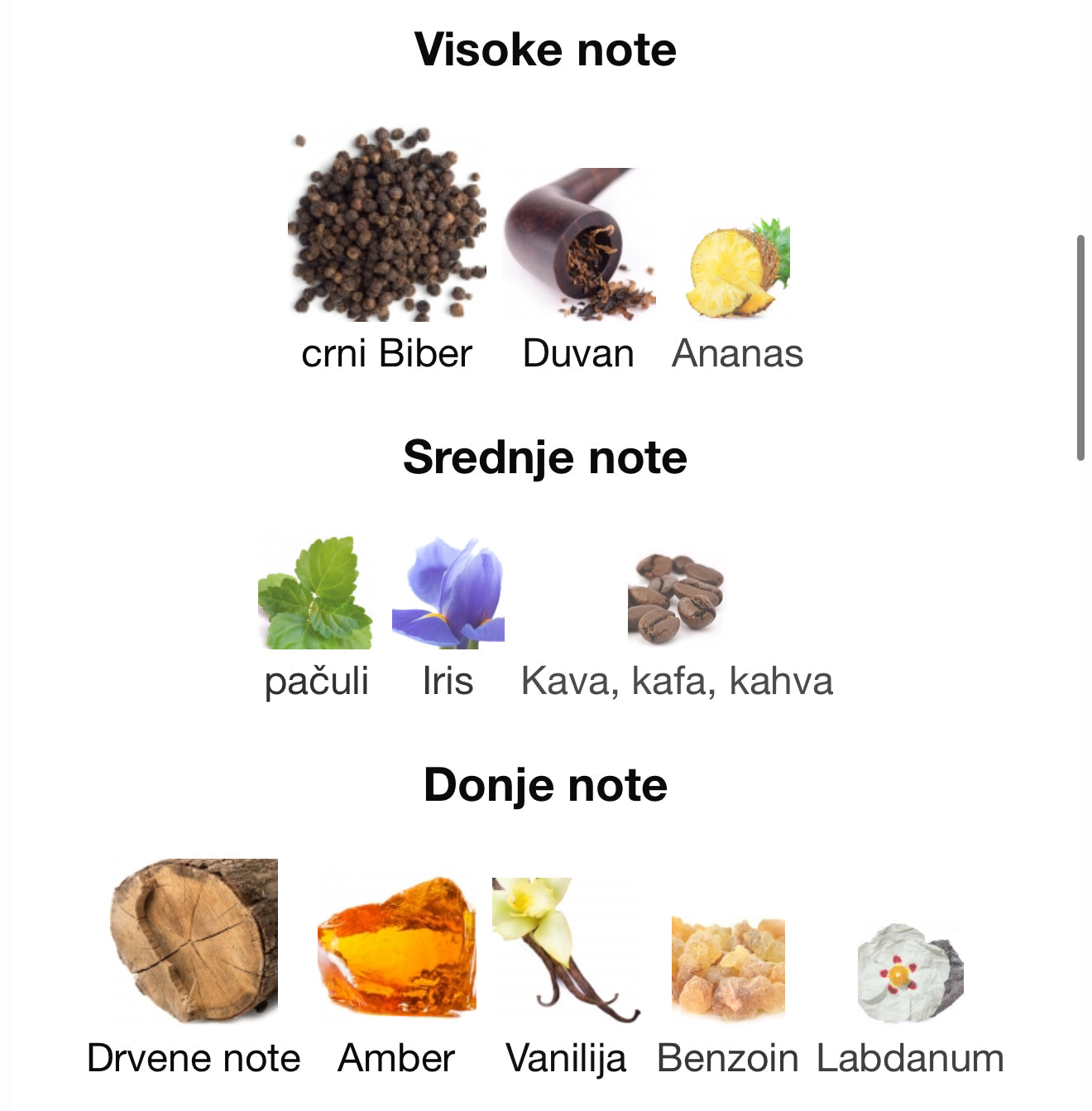 Salvo Elixir by Maison Alhambra