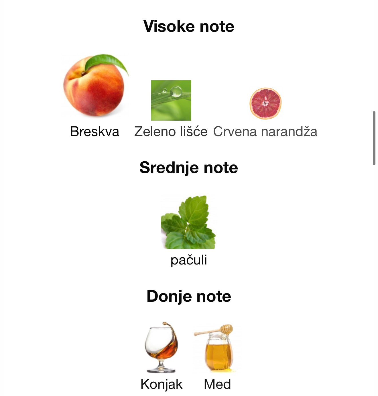 Coral Blush by Maison Alhambra