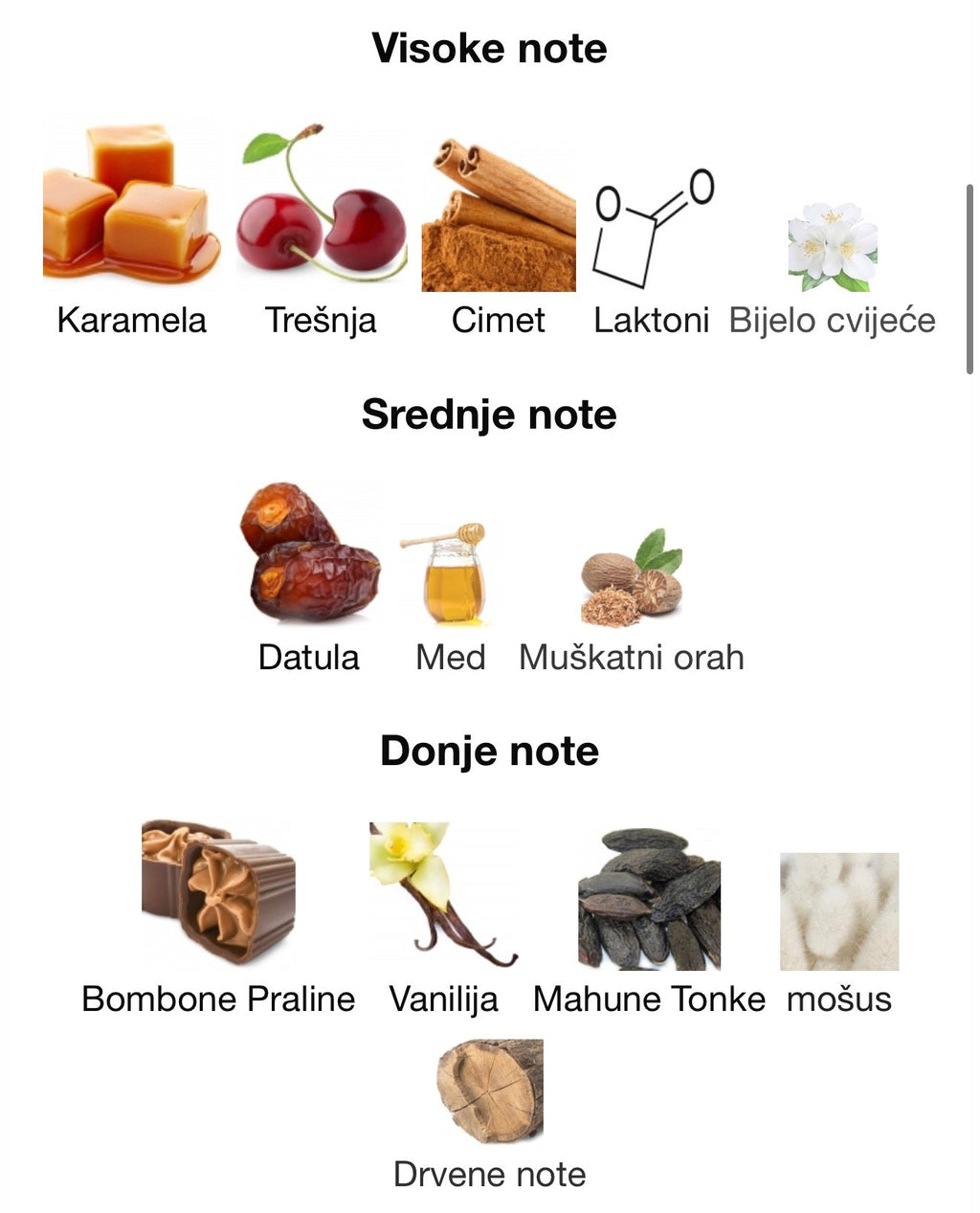 Odyssey Black Forest by Armaf - Zahra Dubai Parfemi