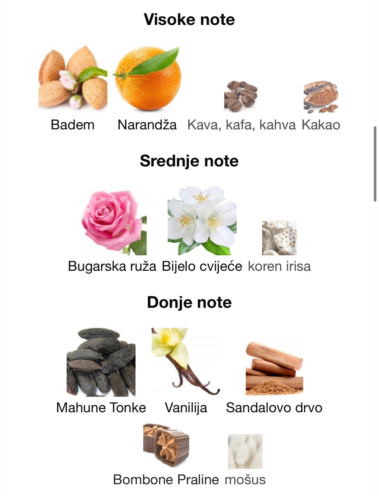 Mosaic by Ahmed Al Maghribi