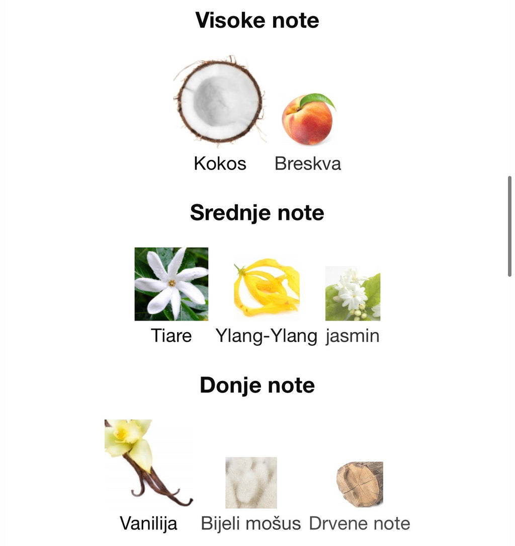 Montaigne Coco by Maison Alhambra - Zahra Dubai Parfemi