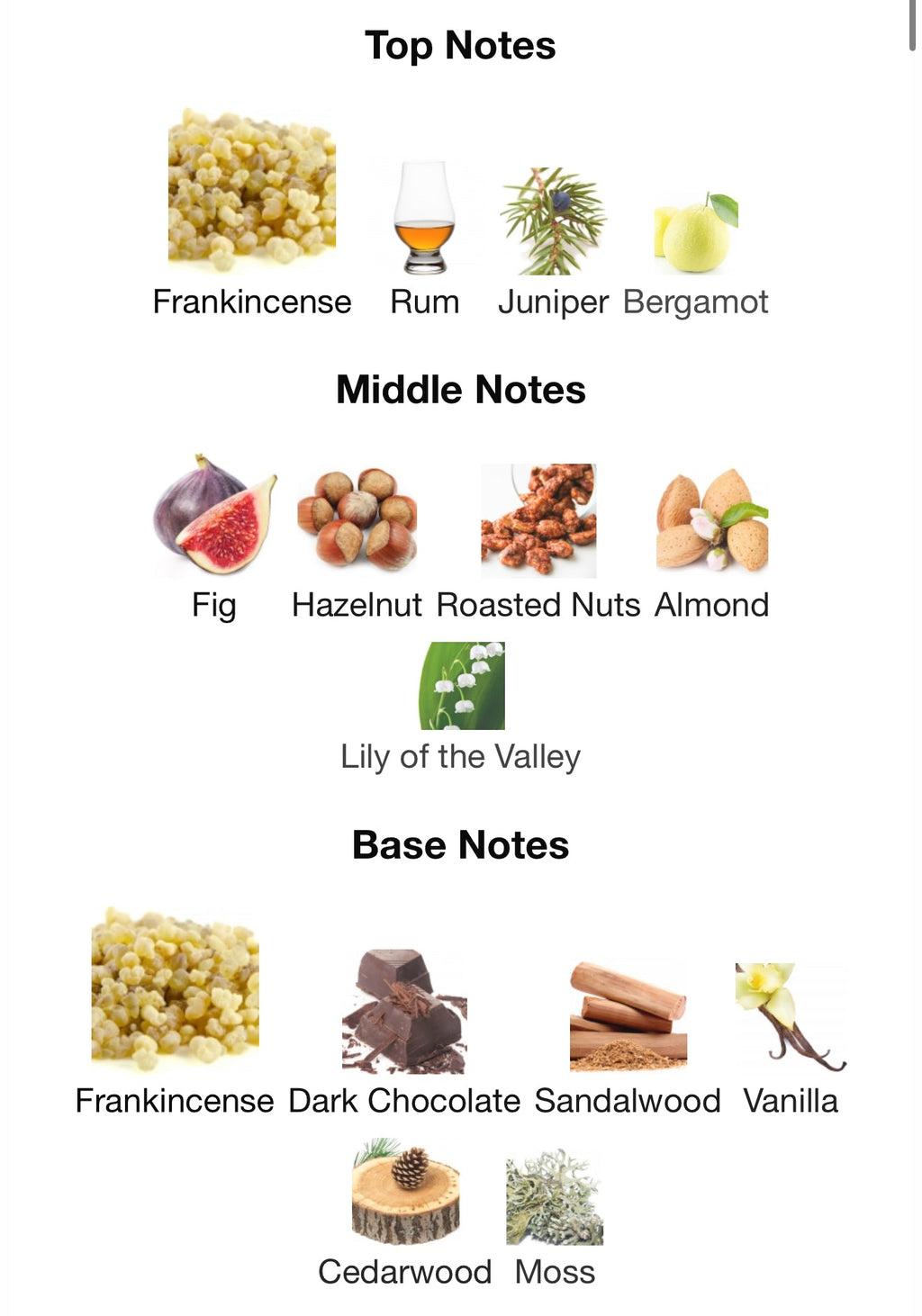 Incense 01 by Swiss Arabian - Zahra Dubai Parfemi