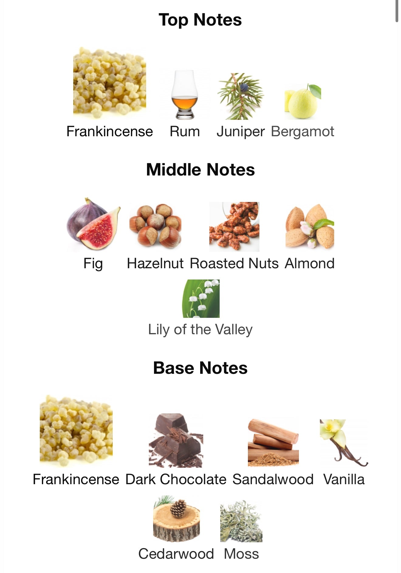 Incense 01 by Swiss Arabian - Zahra Dubai Parfemi