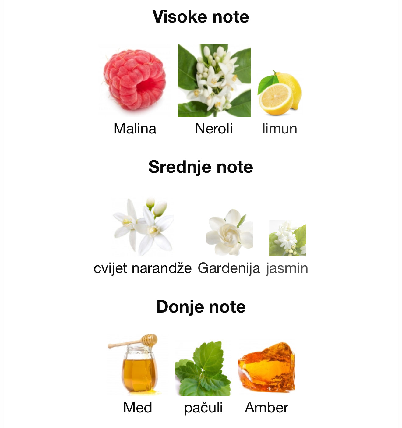 Meillure by Ahmed Al Maghribi