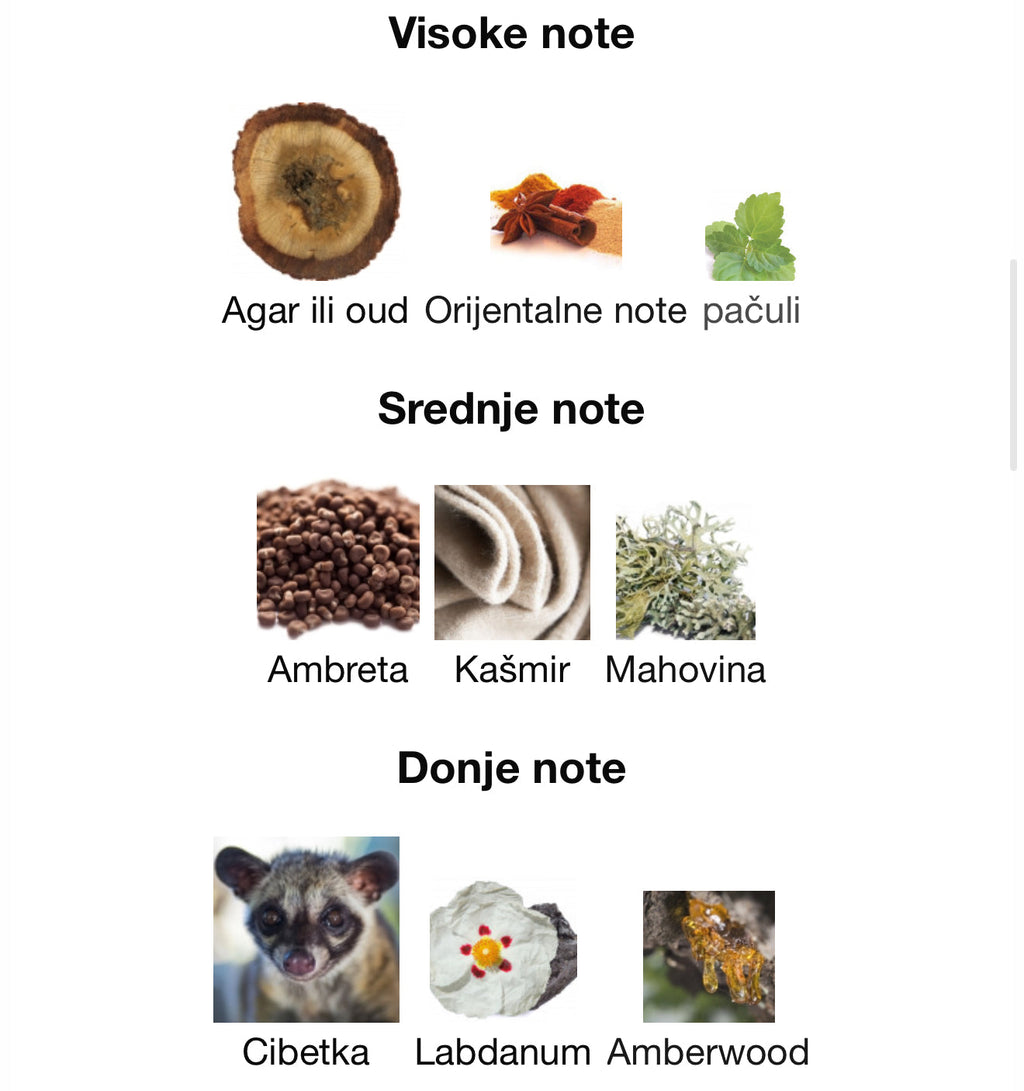 Sultan The Founder by French Avenue - Zahra Dubai Parfemi