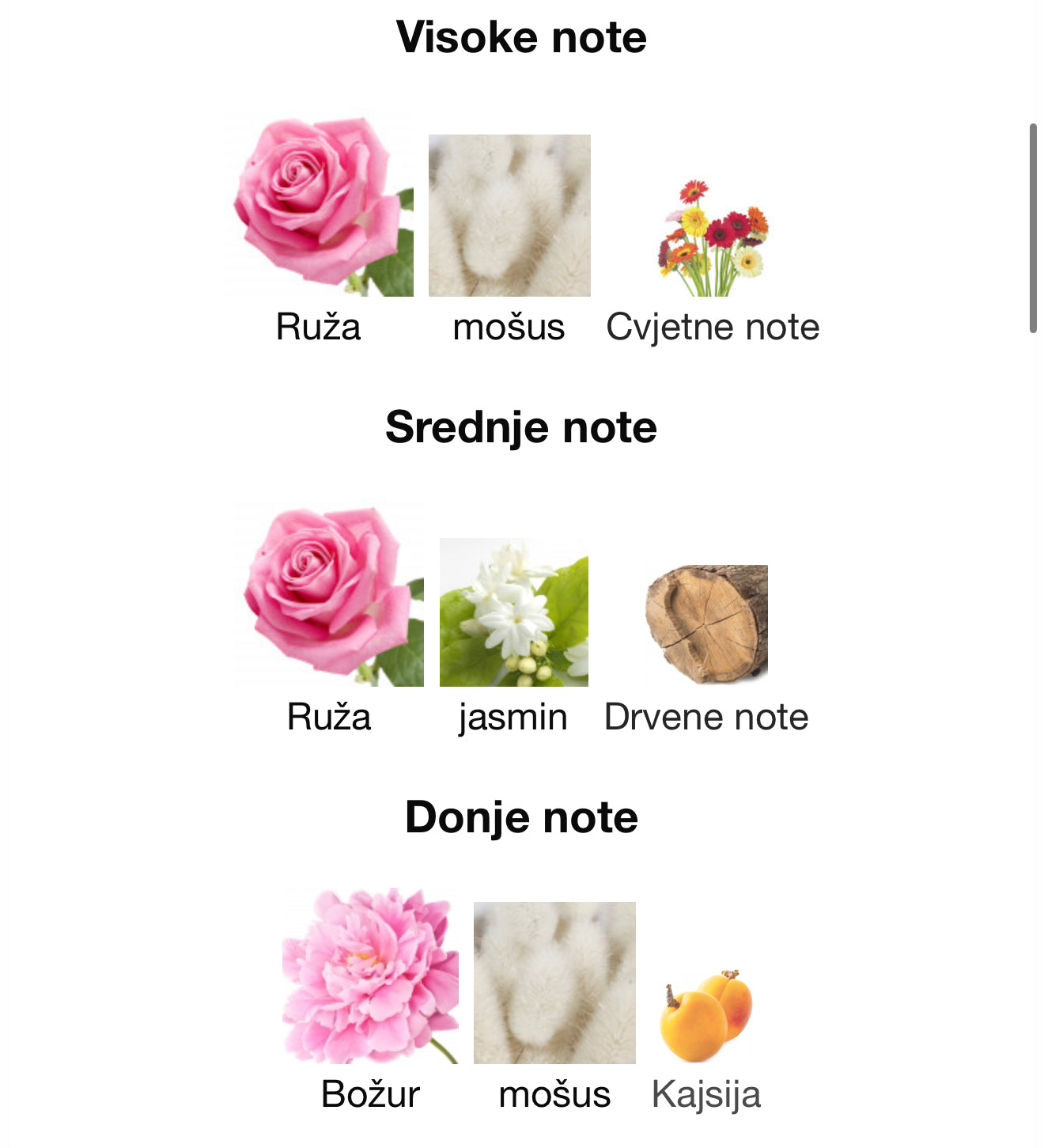 Turathi Red by Afnan