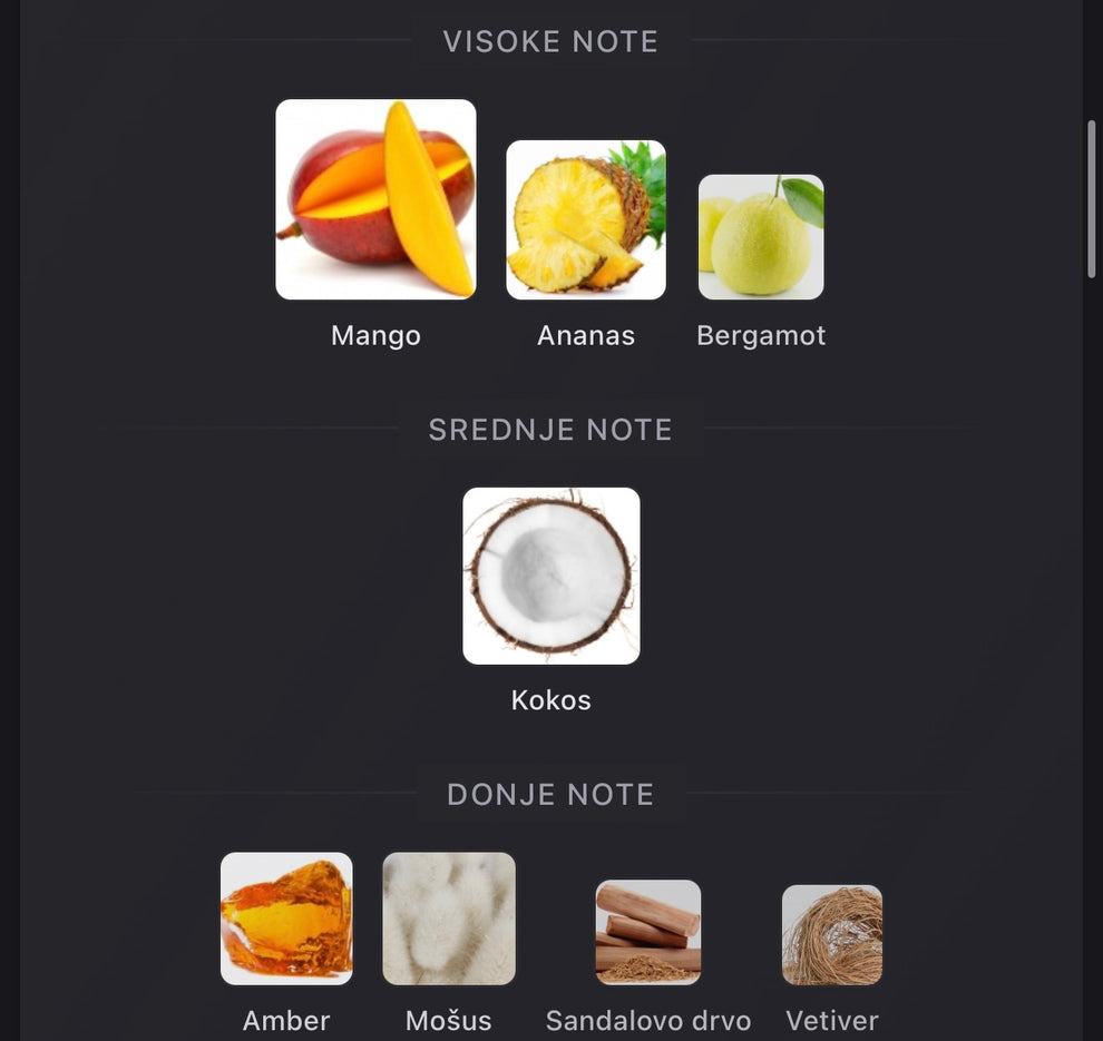 Rayhaan Tropical Vibe